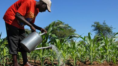 Farmers in the Upper West Region urge government to implement the ‘One District One Dam pledge’Farmers in the Upper West Region urge government to implement the ‘One District One Dam pledge’