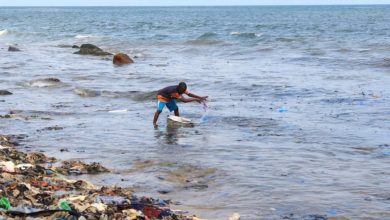 Tema Newtown Beach. Pic credit: Jackline Favour, SOA Ghana Fellow