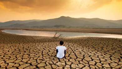 While LDCs have little responsibility for global emissions, they are most vulnerable to climate change