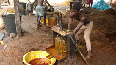 A worker presses palm oil in a refinery in the Okumaning region. Photo: Zuza Nazaruk