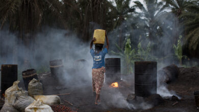 A local oil processing site in Cameroon, Credit: Dylan Collins, 2020